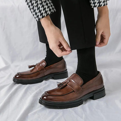 OwenGrid Men's Fashionable Casual Tassel Decor Leather Slip-on Shoes