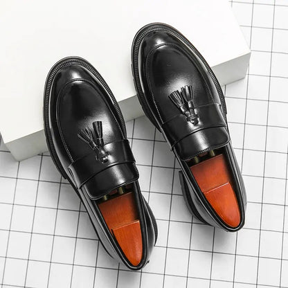 OwenGrid Men's Fashionable Casual Tassel Decor Leather Slip-on Shoes